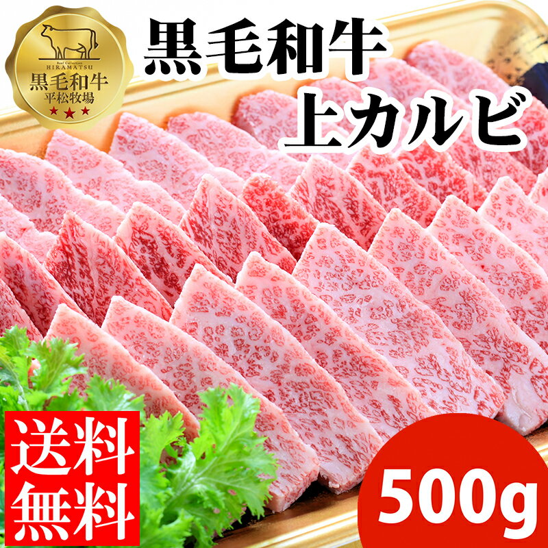 【送料無料】平松牧場の黒毛和牛上カルビ500g（焼肉用） 黒毛和牛 和牛 国産 お肉 お取り寄せ 焼肉 BBQ バーベキュー ギフト 食品 冷凍食品 牛肉 お中元 お歳暮 食品 肉　鹿児島県　平松牧場　平松畜産