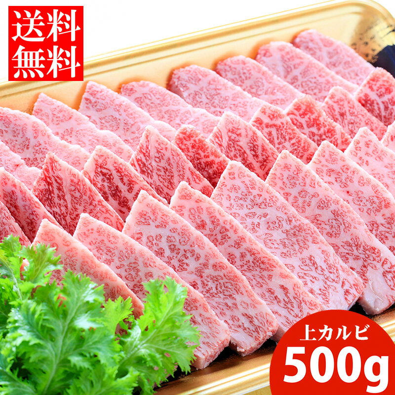【送料無料】平松牧場の黒毛和牛上カルビ500g（焼肉用） 黒毛和牛 和牛 国産 お肉 お取り寄せ 焼肉 BBQ バーベキュー ギフト 食品 冷凍食品 牛肉 お中元 お歳暮 食品 肉　鹿児島県　平松牧場　平松畜産