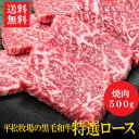 【送料無料】平松牧場の黒毛和牛特選ロース500g（焼肉用）　黒毛和牛 和牛 国産 お肉 お取り寄せ 焼肉 BBQ バーベキュー ギフト 食品 冷凍食品 牛肉 お中元 お歳暮 食品 肉　鹿児島県　平松牧場　平松畜産