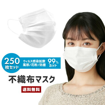 【送料無料】即納 不織布 マスク 250枚セット【大人用 大きいサイズ サージカル 高密度 通気性 三層構造 フィルター 立体 ウィルス 感染 対策 飛沫 防塵 防止 予防 使い捨て 衛生 日用品 風邪 PM2.5 花粉症 白 ホワイト 男女兼用 男性 女性 大口 大量 セット販売】