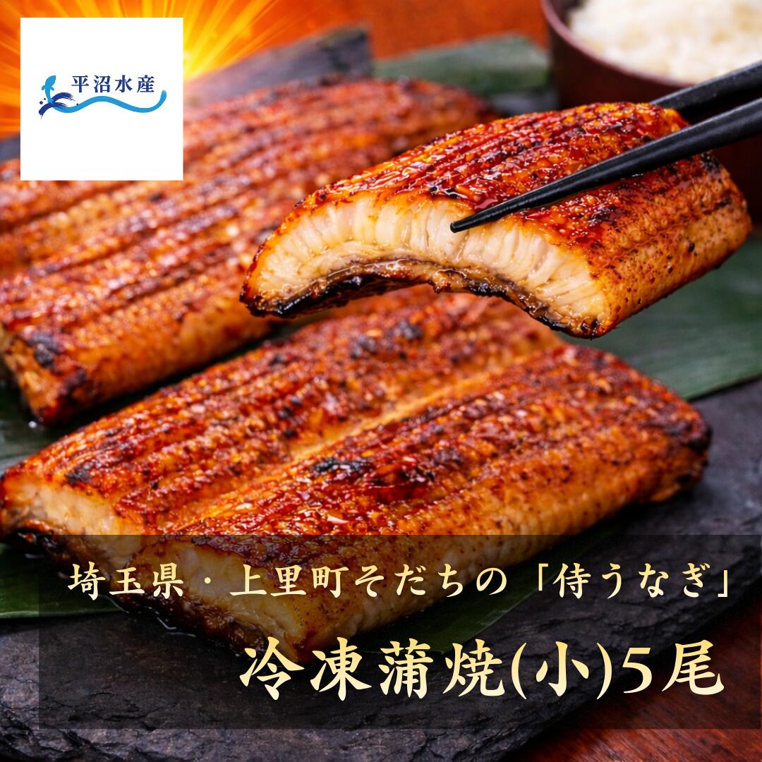 【TBS「ひるおび」で紹介！】うなぎ 国産 鰻 蒲焼き 120g×5尾 真空パック 冷凍 臭みがなく さっぱりとした脂乗り 埼玉県 上里 陸上養殖 名水百選にも選出された神流川の地下水を使用 ギフト 贈答 お祝い お取り寄せ 土用丑の日 敬老の日 お中元