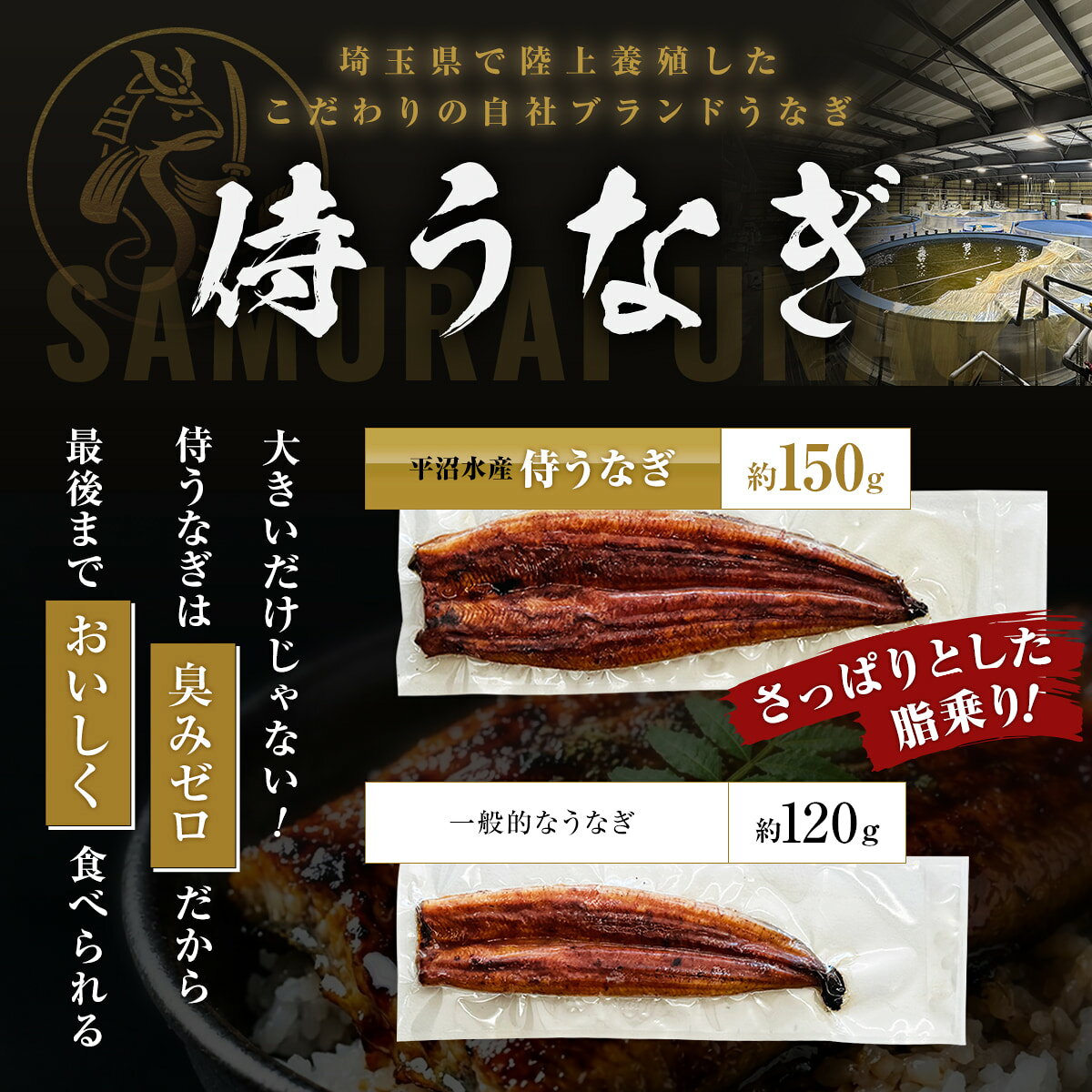 【NHK で紹介！】平沼水産 国産 侍うなぎ 蒲焼き 140-159g×5尾 うなぎ 冷凍 かみさとブランド認定 埼玉県産 陸上養殖 お取り寄せ 土用丑の日 御中元 誕生日 ギフト 贈答 お祝い 敬老の日 ギフトボックス 熨斗対応【TBS「ひるおび」で紹介！】