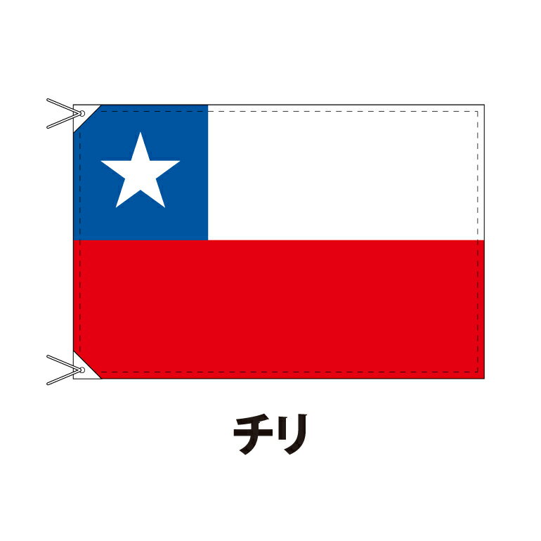 チリ 国旗 90×120cm 上質なエクスラン地 ポピュラーサイズ レザー・ハトメ・ヒモ付仕立 旗 フラッグ 国産 難易度:D 3営業日以内に出荷 送料無料 chile