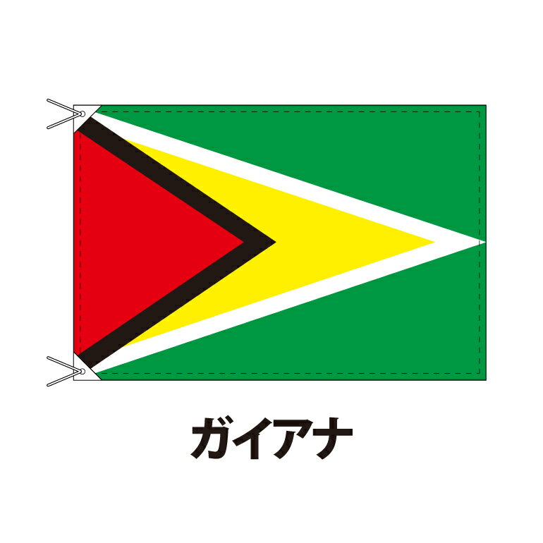 ガイアナ 国旗 90×120cm 上質なエクスラン地 ポピュラーサイズ レザー・ハトメ・ヒモ付仕立 旗 フラッグ 国産 難易度:I 3営業日以内に出荷 送料無料 guyana