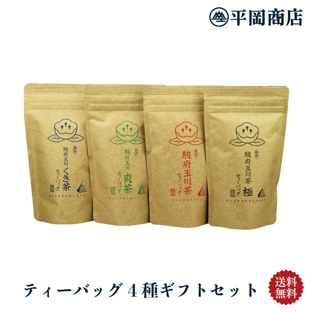 日本茶 ティーバッグ4種 ギフトセット 【送料無料】【2024年産新茶 5月31日発売開始】【急須がいらない 日本茶 ギフト】 【緑茶 カテキン エピガロカテキンガレート EGCg 緑茶ティーバッグ】【…