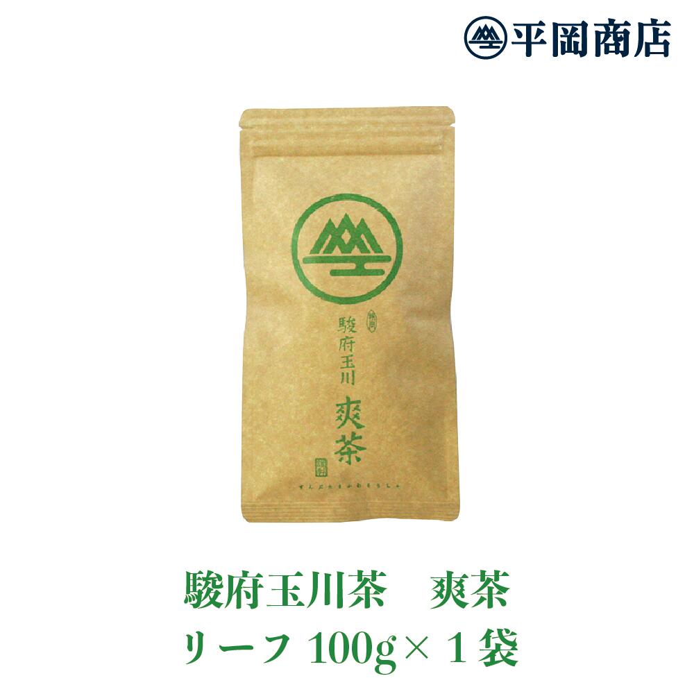 駿府玉川 爽茶 平袋100g 【ポスト投