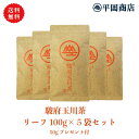 駿府玉川茶 平袋100g×5本セット 送り主様に50gプレゼント付 