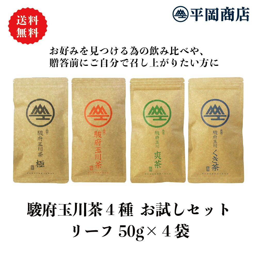 駿府玉川茶4種 お試しセット【送料無料/ポスト投函便】【2024年度産 新茶 5月30日発売開始】 【緑茶 カテキン エピガロカテキンガレート EGCg】【お試し 新茶 静岡茶 日本茶 セット 茶葉 リーフ】