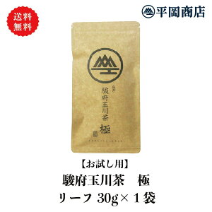 駿府玉川茶 極 平袋(30g) お試し【2024年度産5月15日発売開始】【送料無料/ポスト投函便】【緑茶 カテキン エピガロカテキンガレート EGCg】 【日本茶　冷茶　水出し 静岡茶 茶葉 リーフ 】