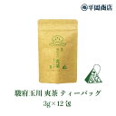 駿府玉川 爽茶 ティーバッグ 3g×12包 【2025年度産 新茶 5月30日発売開始】 【ポスト投函便対応可能】【緑茶 カテキン エピガロカテキンガレート E...