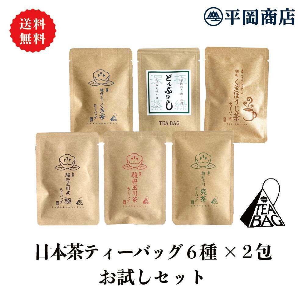 日本茶 ティーバッグ 6種×2包 プチお試しセット 【 送料無料 / ポスト投函便】 【2024年度産 新茶 5月31日発売開始】 【急須がいらない日本茶】 【 緑茶 カテキン エピガロカテキンガレート EGCg 緑茶ティーバッグ】【新茶 静岡茶 煎茶 日本茶 深蒸し茶 ほうじ 水出し】