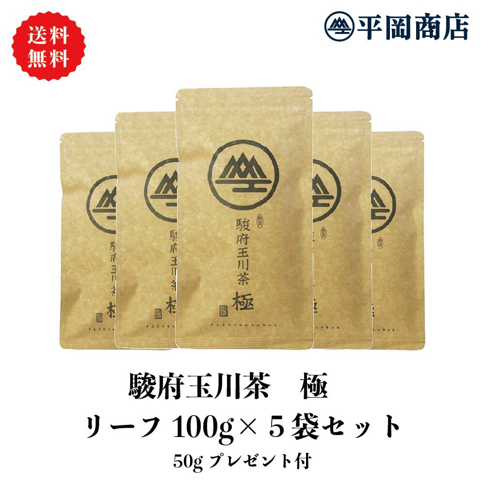 【送料無料/ギフト商品】駿府玉川茶 極 平袋100g×5本ギフトセット 送り主様に50gサービス付 【2024年度産 新茶 5月15日発売開始】【 緑茶 カテキン エピガロカテキンガレート EGCg 】【お歳暮 お年賀 敬老の日 お中元 御中元 父の日 母の日 日本茶 静岡茶 茶葉 リーフ 】