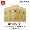 駿府玉川茶 極 平袋100g×5本ギフトセット 送り主様に50gサービス付 