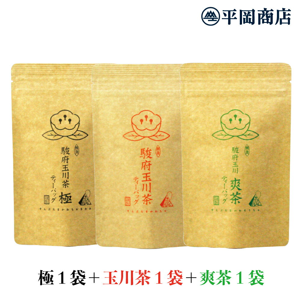 駿府玉川茶 極ティーバッグ1袋＋玉川茶1袋＋爽茶1袋セット(3g×12包×3袋) 【送料無料/ポスト投函便】 【2024年産 新茶 5月28日発売開始】 【日本茶ティーバッグ 日本茶 静岡茶 煎茶 ティーバッグ 本山】 【緑茶 カテキン エピガロカテキンガレート EGCg 緑茶ティーバッグ】