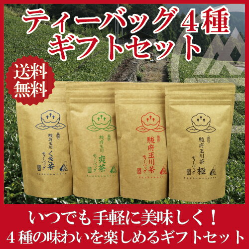 日本茶 ティーバッグ4種 ギフトセット 【送料無料】 【2020年産新茶 5月30日発売開始】 【急須がいらない 日本茶 ギフト】 【緑茶 カテキン エピガロカテキンガレート EGCg 緑茶ティーバッグ】【 敬老の日 御中元 静岡茶 煎茶 水出し 冷茶】(北海道・沖縄は追加送料440円）