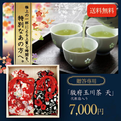 駿府玉川茶 天 桐箱入り 煎茶5g×10袋×2セット【送料無料】【父の日　父の日ギフト　日本茶　贈答用　ギフト】【 緑茶 カテキン エピガロカテキンガレート EGCg 】