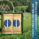 トウベットウ 平袋60g×2本 ギフトセット 【送料無料】【2024年度産 新茶6月5日発売開始】【シングルオリジン】【 水出し 緑茶 カテキン エピガロカテキンガレート EGCg 】【内祝 御中元 敬老の日 お歳暮 静岡茶 茶葉 日本茶 ギフト 】（北海道・沖縄は追加送料440円）