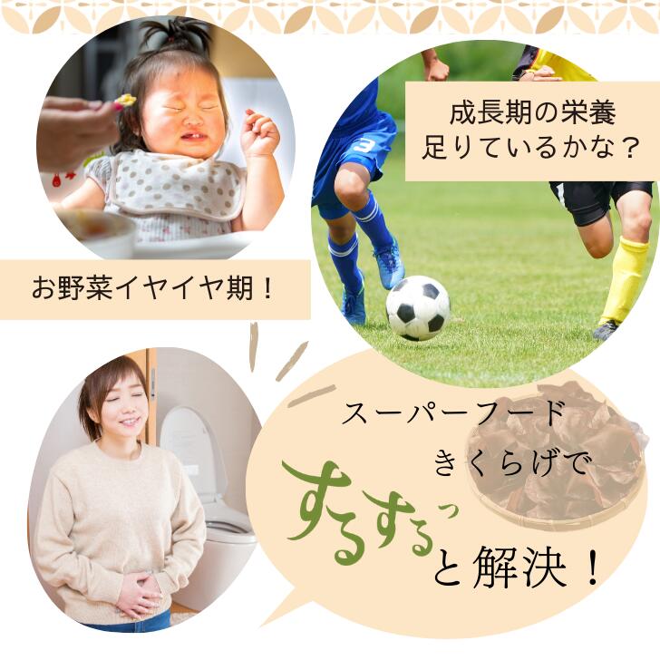 ʿ��Τ��뤹��äȤ����餲 10�� �� �����Ի��� ̵ź�� �����餲ʴ�� �ѥ����� �Ƕݽ����� ����˭�� �������� �ӥ��ߥ�D ��ʪ���� Ŵʬ ���륷���� ���Τ� �����餲 �����饲 �ڼ� ����̵�� Ĺ�긩 ����Į�� ���ߤߤ����