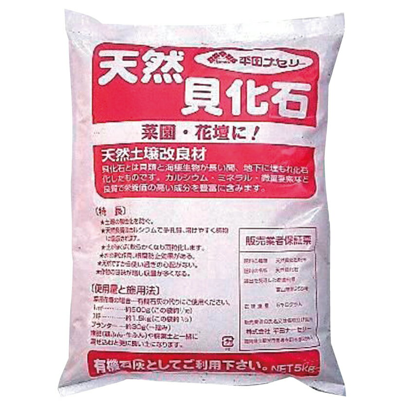貝化石　5kgのサムネイル