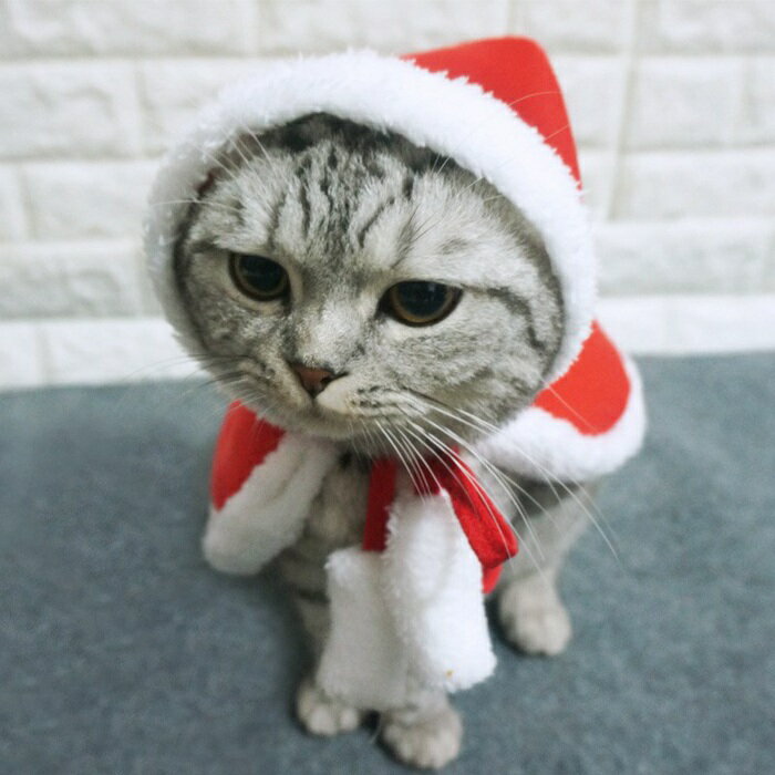 送料無料新品ペットマント犬服猫の服クリスマスコスプレ衣装ハロウィンコスプレ仮装ャットウェアネコ用ポンチョペットウェア小型犬ペット用可愛いレッドcosplay写真撮影保温暖かい猫用品プレゼント冬散歩