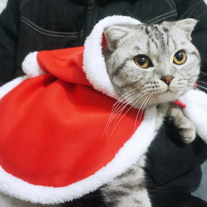 送料無料新品ペットマント犬服猫の服クリスマスコスプレ衣装ハロウィンコスプレ仮装ャットウェアネコ用ポンチョペットウェア小型犬ペット用可愛いレッドcosplay写真撮影保温暖かい猫用品プレゼント冬散歩