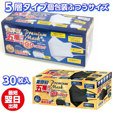 5層構造 不織布マスク 白 黒 ホワイト ブラック 5層マスク 五層構造 個別包装 マスク 大人用 ふつうサイズ 使い捨てマスク 個包装 お徳用マスク 30枚 30枚入り 息苦しくない らくらく 3D立体 ノーフィットバー 大人用 国内発送 箱入り 携帯 ダイヤモンドマスク