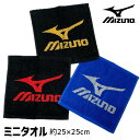 【4枚までネコポス250円】 MIZUNO ミズノ mizuno ミニタオル タオルハンカチ 【スポーツブランドタオル】 プレゼント 贈り物 部活 卒業 スポー...