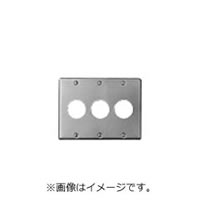 パナソニック 新金属埋込コンセントプレート[2型]3連(フルコート加工) WN6533K