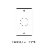 Rakuten - パナソニック ステンレス埋込φ41コンセントプレート WN9614K