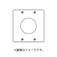 Rakuten - パナソニック ステンレス埋込φ71コンセントプレート WN9616K