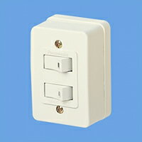 Rakuten - Panasonic　WS3900W 2連タンブラスイッチ(ハイ角連用)
