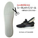 ＼マラソン限定ポイント2倍／シークレットインソール 2cm 中敷 男女兼用 衝撃吸収 中敷き インソール シークレット クッション 中敷き シークレットインソール シークレットシューズ メンズ レディース 送料無料