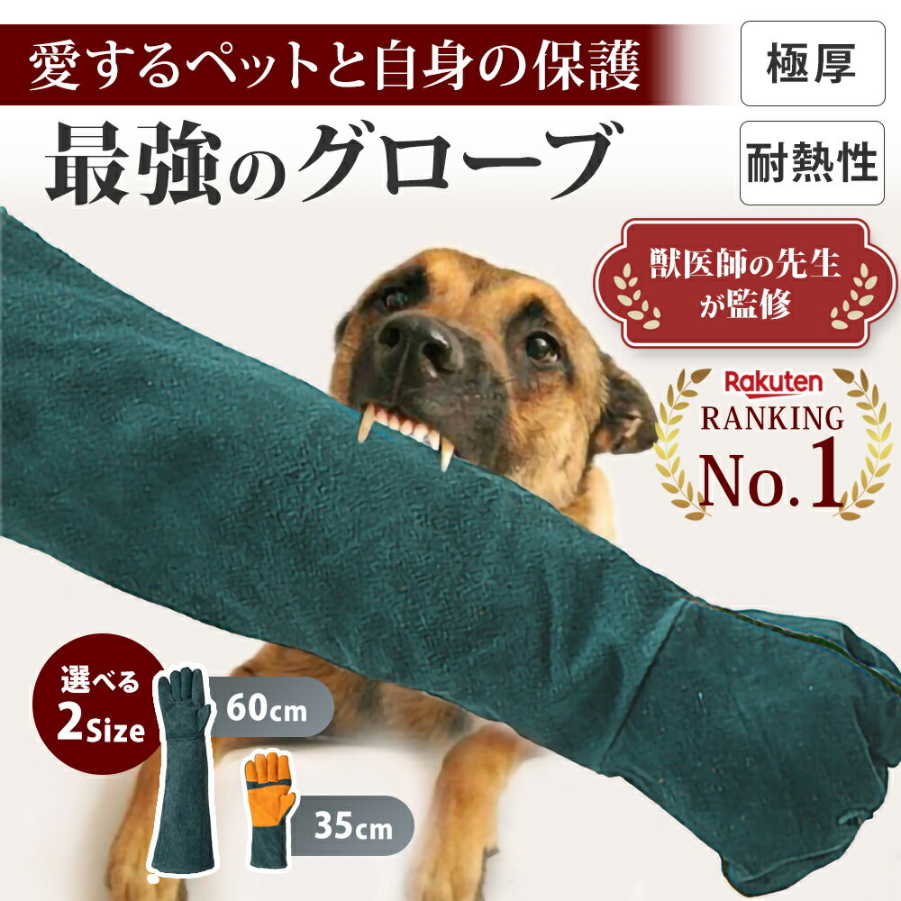 限定2500円OFFクーポン犬 噛み癖 しつけ トイレ 甘噛み 飼い主の言う事を聞こうと気持ちを養う方法 ー7つの課題ー 犬たちはなぜ？飼い主に唸る 噛むのか　犬のしつけ ドッグトレーニング ドッグスクール 訓練 無駄吠え　送料無料 代引き日時指定不可