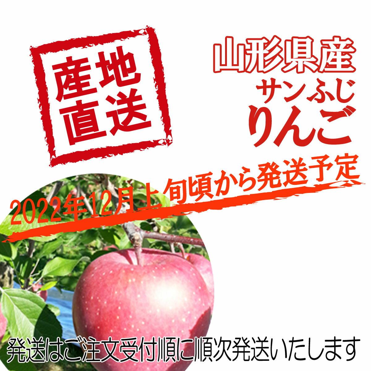 予約 送料無料 たっぷり てんこ盛り 10kg 山形県産 訳あり サンふじ りんご 10kg 茶箱 入り ジューシーな 山形 のりんご りんご/リンゴ/訳あり/家庭用/わけあり