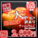 (期間限定)【たっぷり!てんこ盛り10kg】山形県産訳ありサ...