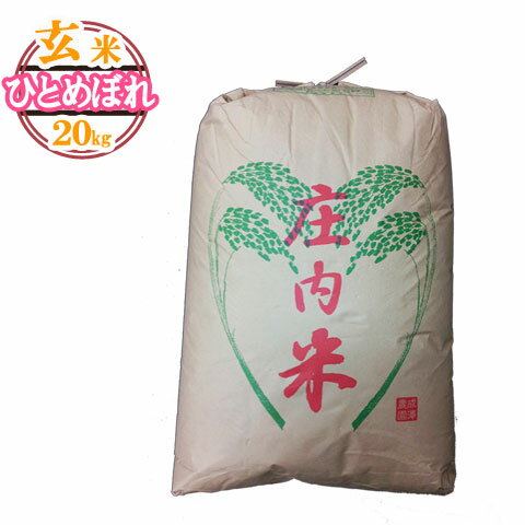 令和6年産 新米 予約受付中 送料無料 山形県産 ひとめぼれ 玄米 20kg 安心・安全・おいしい 安全で確かなものを食卓へ 艶・甘み抜群 二十キロ お米 おこめ 玄米 げんまい