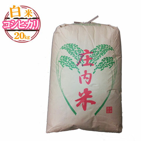 令和6年産 新米 予約受付中 送料無料 山形県産 コシヒカリ 白米 20キロ 20kg 二十キロ お米 おこめ 白米 はくまい 安…