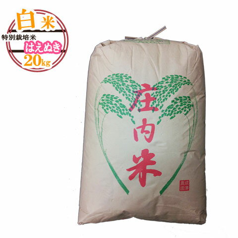 (10％OFF)(随時発送)(送料無料)★山形県産特別栽培米はえぬき白米20kg　【安心で確かなものを食卓へ】お米（おこめ）