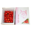 予約 送料無料 山形県産 さくらんぼ 佐藤錦 500g L サイズ佐藤錦/さくらんぼ/さとうにしき/500g/500グラム