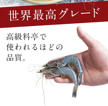 20/30 高級料亭刺身用 天使の海老【smtb-kd】20/30(約20尾〜約30尾入り)えび/エビ/海老/ebi