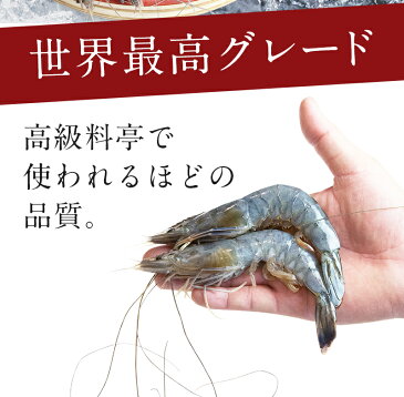 30/40 高級料亭刺身用 天使の海老30/40(約30尾〜約40尾入り)えび/エビ/海老/ebi