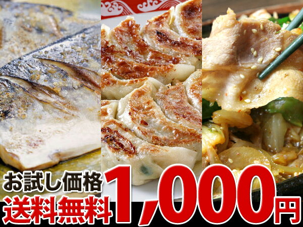 サバ1枚・味の素焼き目がきれいな肉餃子・国産豚肉500gの3種類が1000円で！？お一人様3個まで。3個購入の方に秘密のプレゼントが・・・お試し送料無料￥1000福袋〈お試しセット3〉