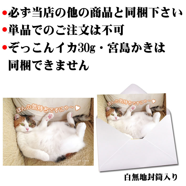 �ۤ�ε������Ǥ��ˤ�(ǭ) L�ǥ����� ���եȥ����ɡ�ñ����ʸ�Բġ� ɬ�������ɰʳ��ξ��ʤ�Ʊ�������� ���̥�å����������Բ� 1��ʸ1�����