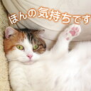 ほんの気持ちですにゃ(猫) L版サイズ ギフトカード【単品注文不可】 必ずカード以外の商品と同梱下さい 個別メッセージ記入不可 1注文1枚限定