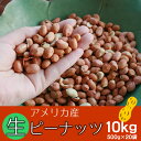 【業務用】1袋分お得 【無添加 無塩】生落花生 合計10kg (500g×20袋セット)　薄皮付きアメリカ産生ピーナッツ 【訳あり】皮むけ割れあり 皮付き生ピーナツ まとめ買い 大人買い【ご注意】ネコポス便不可/宅配便のみ【はじめようピーナッツライフ】