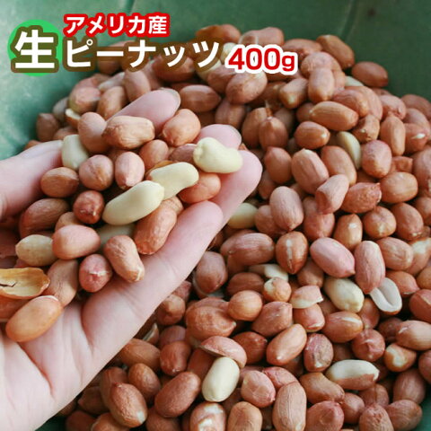 【無添加 無塩】生落花生 500g 薄皮付きアメリカ産生ピーナッツ 【訳あり】皮むけ割れあり 皮付き生ピーナツ 乾燥生ナッツ【ネコポス便対応】2袋までネコポス1通（代引／到着日指定不可）3袋以上は宅配便のみ【はじめようピーナッツライフ】