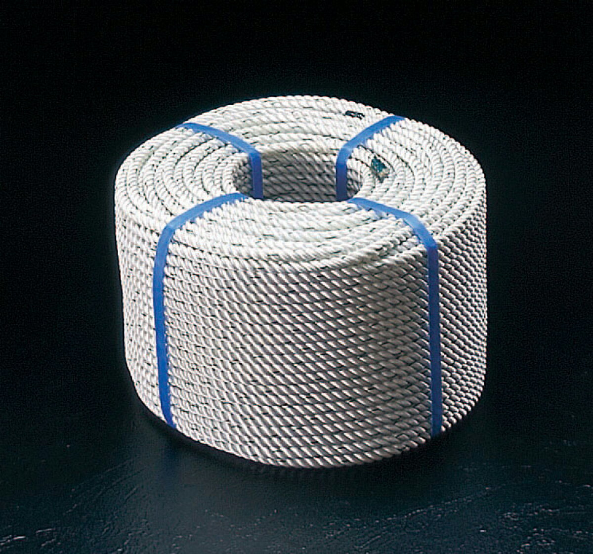 【メーカー在庫あり】 エスコ ESCO 9mmx100m ナイロンロープ(三つ打ち) 000012239101 HD店