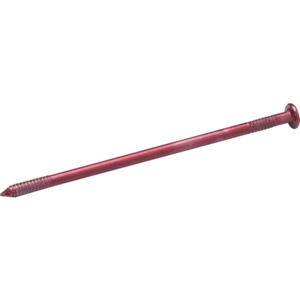 ڥ᡼߸ˤ ޥƥ() ޥƥ 顼Nţ Ƭ N65  4K 223810146 HDŹ