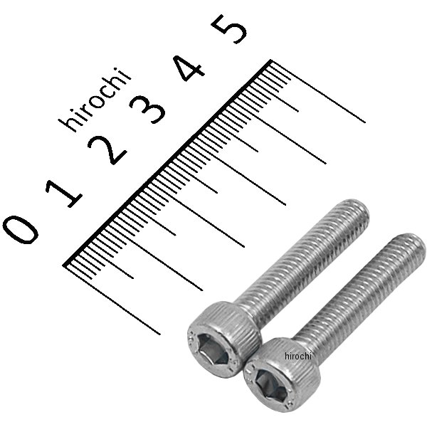 ڥ᡼߸ˤ ݥå POSH SCM435 åץܥ ᡼ M6x30 P1.0 2 820780-030 HDŹ