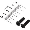 【メーカー在庫あり】 ポッシュ POSH ボタンキャップボルトセット 汎用 M6x20mm ステンレス 2本入り 黒 900620-B9 HD店